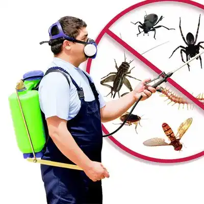 pest control Pikeville